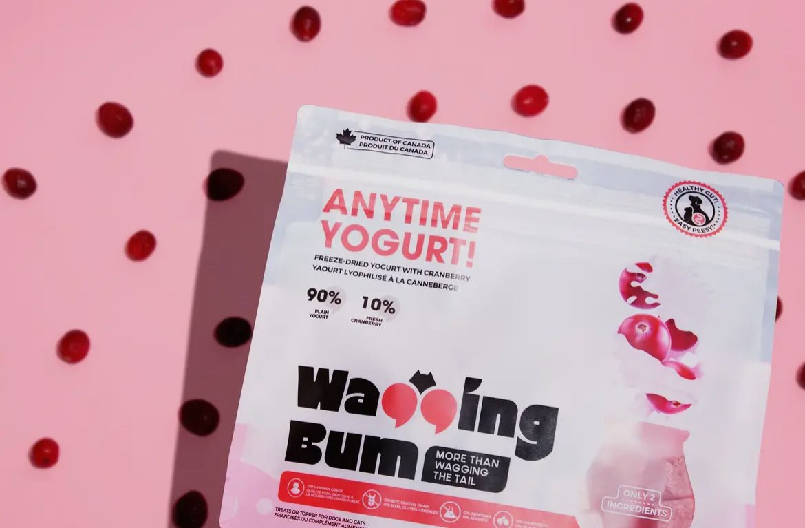 WAGGING BUM's ANYTIME YOGURT! Freeze-dried Yogurt with Cranberry - Finley's Shop